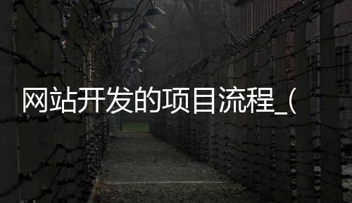网站开发的项目流程_(网站开发的流程有哪些步骤组成)