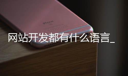 网站开发都有什么语言_(开发网站的一些常用语言)