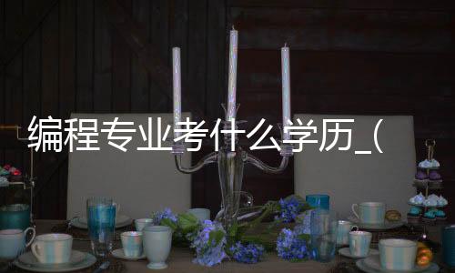 编程专业考什么学历_(编程专业考什么学历好)