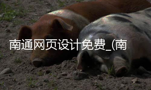 南通网页设计免费_(南通网页设计免费招聘网站)