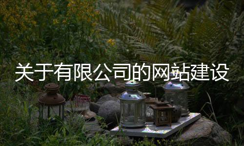 关于有限公司的网站建设_(关于企业网站建设的相关思考)