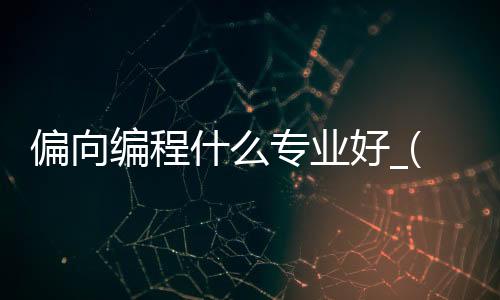 偏向编程什么专业好_(偏移编程方式的优缺点)