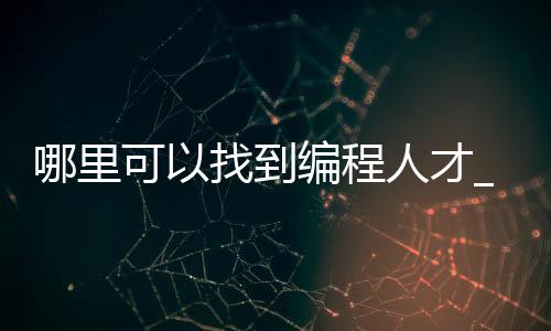 哪里可以找到编程人才_(哪里可以找到编程人才招聘信息)