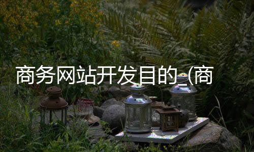 商务网站开发目的_(商务网站开发目的是什么)