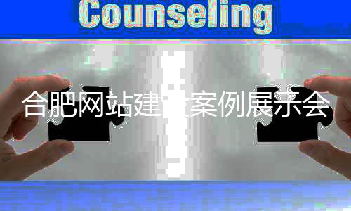 合肥网站建设案例展示会(合肥网站建设公司排名)