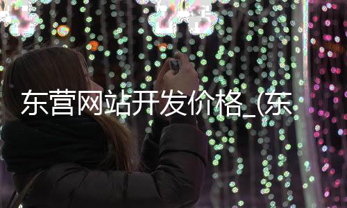 东营网站开发价格_(东营专业网站建设公司电话)