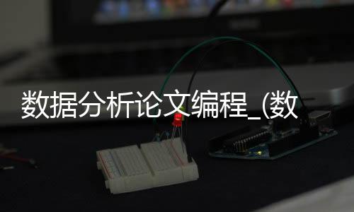 数据分析论文编程_(数据分析论文编程怎么写)