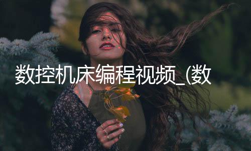数控机床编程视频_(数控机床编程视频大全)