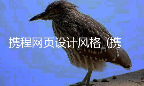 携程网页设计风格_(携程网站设计的基本原则)