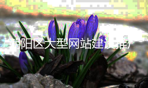 朝阳区大型网站建设推广（朝阳区大型网站建设推广公司）