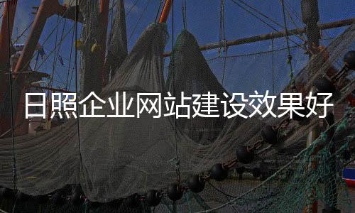 日照企业网站建设效果好（日照网络科技有限公司）