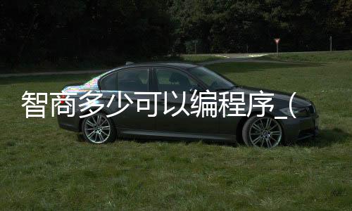 智商多少可以编程序_(智商达到多少以上才能称得上聪明)