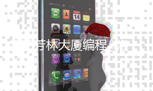 洛阳芳林大厦编程_(洛阳芳林路打通规划图)