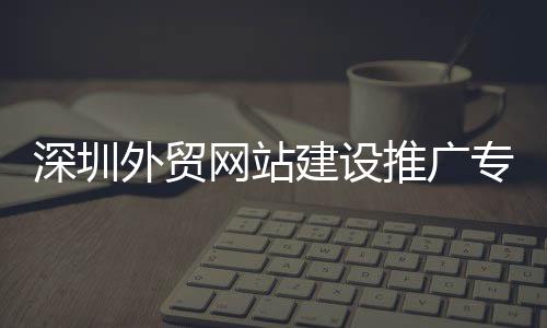 深圳外贸网站建设推广专家（深圳外贸网站制作）