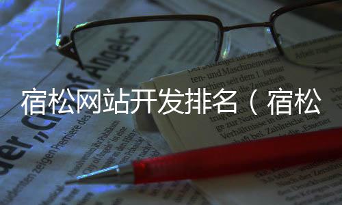 宿松网站开发排名（宿松论坛招聘信息最近）