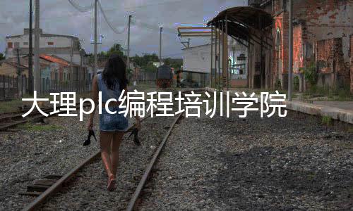 大理plc编程培训学院_(大理plc编程培训学院怎么样)