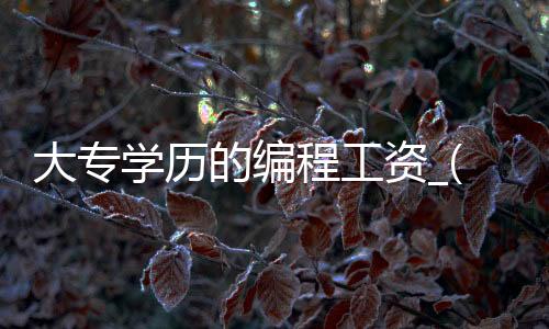 大专学历的编程工资_(大专学历的编程工资高吗)