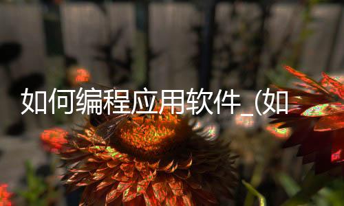 如何编程应用软件_(如何编程应用软件教程)