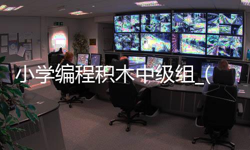小学编程积木中级组_(积木编程是学些什么东西)