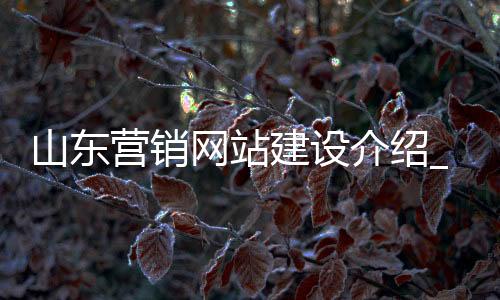 山东营销网站建设介绍_(山东营销网站建设介绍ppt)