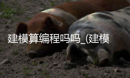 建模算编程吗吗_(建模难还是编程难)