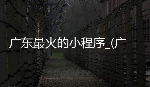 广东最火的小程序_(广州小程序解决方案)