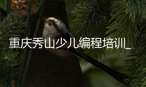 重庆秀山少儿编程培训_(重庆少儿编程培训学校排名)
