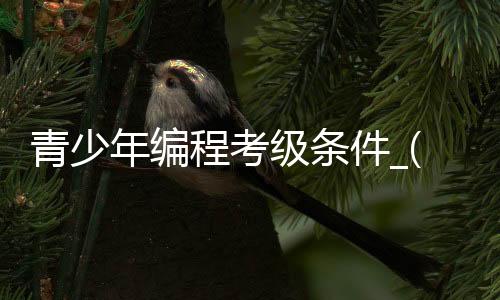 青少年编程考级条件_(青少年编程能力等级考试报名)