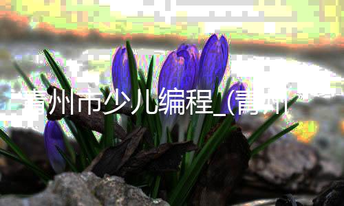 青州市少儿编程_(青州少儿编程培训班在哪里)