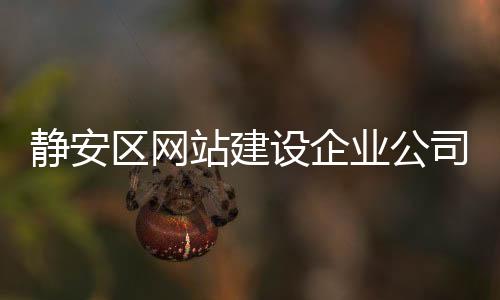 静安区网站建设企业公司（静安区网站建设企业公司名单）