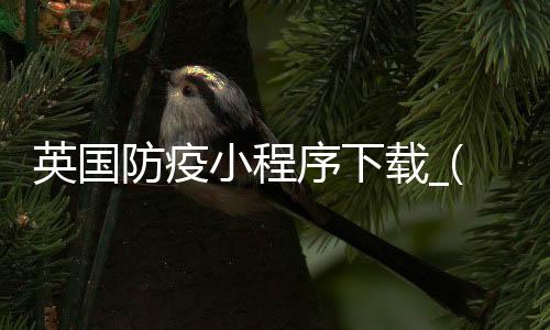 英国防疫小程序下载_(英国防疫小程序下载软件)