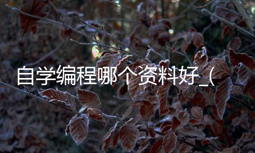 自学编程哪个资料好_(自学编程入门买什么书)