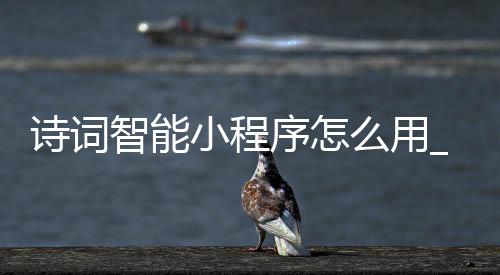 诗词智能小程序怎么用_(诗词查询小程序怎么不能用了)