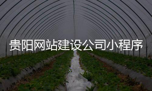贵阳网站建设公司小程序_(贵阳网站建设公司小程序在哪里)