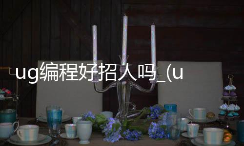 ug编程好招人吗_(ug编程好找工作吗?)